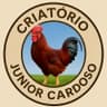 Junior Cardoso breeding