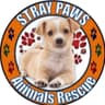 STRAY PAWS