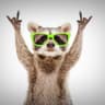 World Best Funny And Sweet Animals
