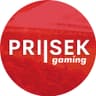 PRIISEK Gaming