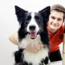 Healthy Pets (by Mirko Nuli)