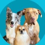 Gary, Merlin & Mushu + Zero