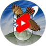 Alveus Sanctuary Clips