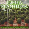 Lumea Plantelor