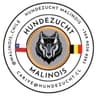Hundezucht Malinois