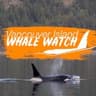 Vancouver Island Whale Watch