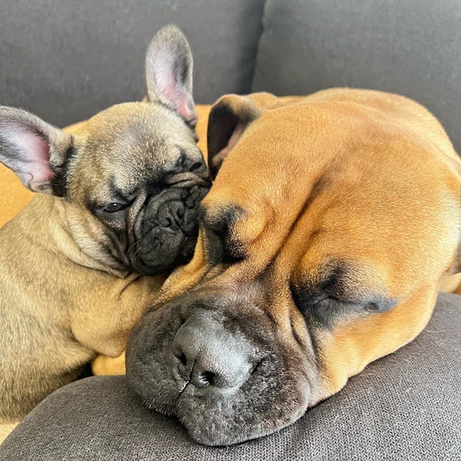 Torvi, Lagertha, Harald and Astrid Smith