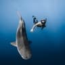 Gavin Heeks | Ocean & Travel Creator