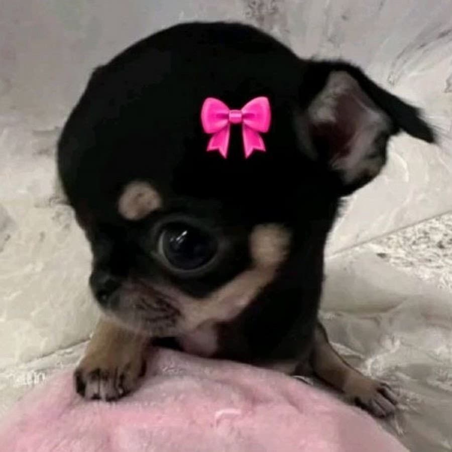 2eung