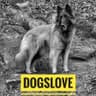 DogsLove