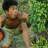 Life In Jungle