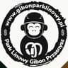 Park Linowy GIBON Przasnysz