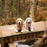 Raffy & Lily