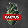 CACTUS DS