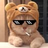 Meow Reaction!