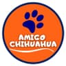 Amigo Chihuahua