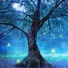 Fantasy & World Music by the Fiechters